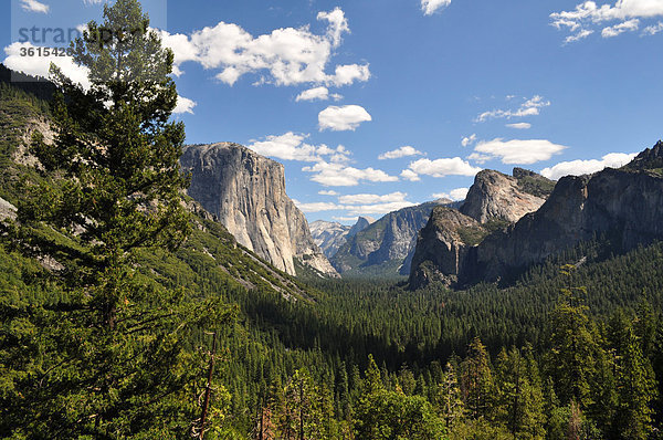 Yosemite NP  USA