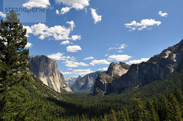 Yosemite NP  USA