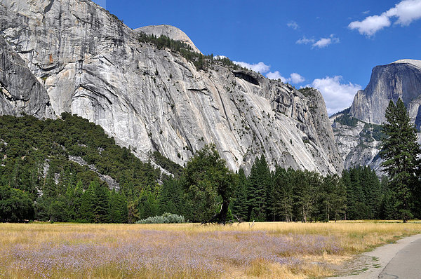 Yosemite NP  USA