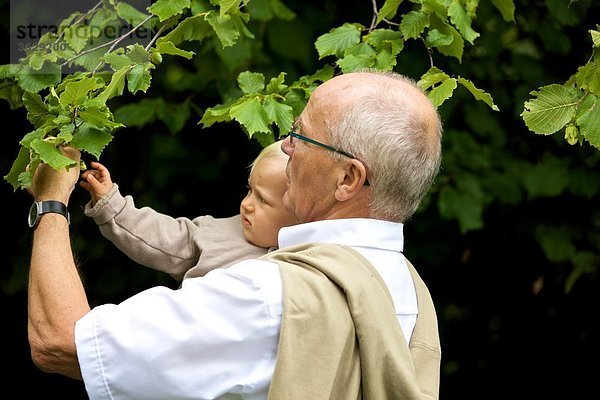 Großvater trägt Kleinkind an einem Baum