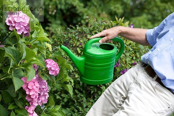 Mann gießt Blumen im Garten  close-up