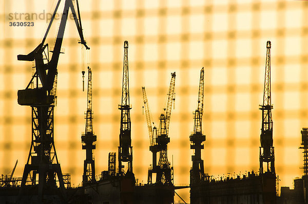 Kräne im Hamburger Hafen  Hamburg  Deutschland  Silhouette