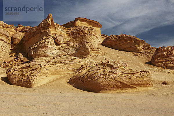 Landschaft des Wadi Hitan  Libysche Wüste  Ägypten