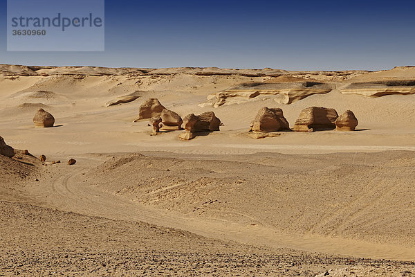 Landschaft des Wadi Hitan  Libysche Wüste  Ägypten