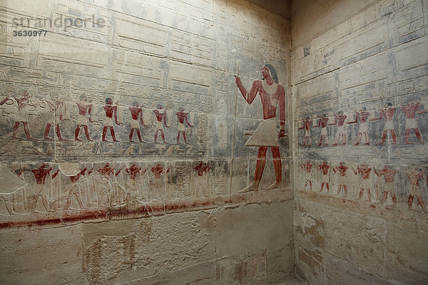 Wandmalerei in der Mastaba des Kagemni  Sakkara  Ägypten