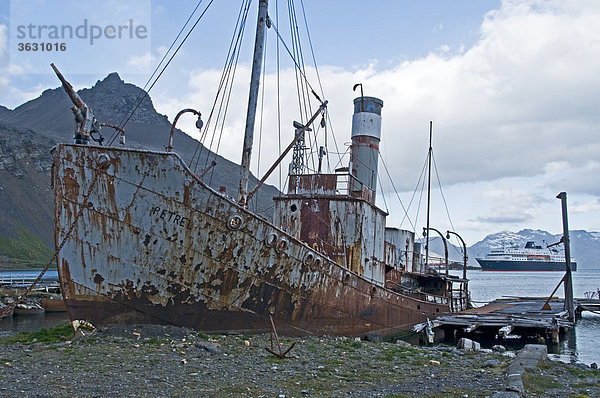 Schiffswrack  Grytviken  Südgeorgien  Südamerika  Amerika