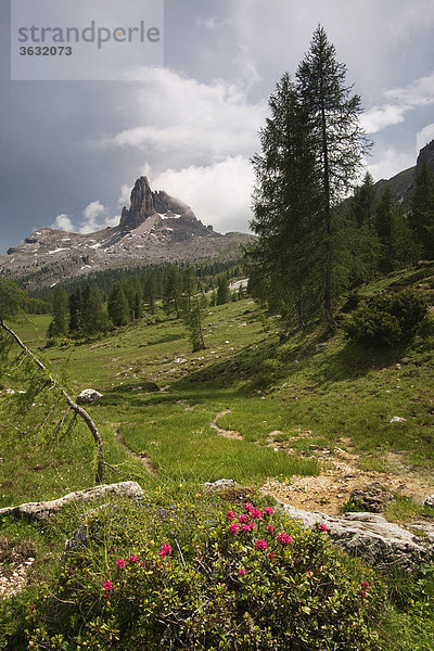 Becco di Mezzodi  Südtirol  Italien  Europa