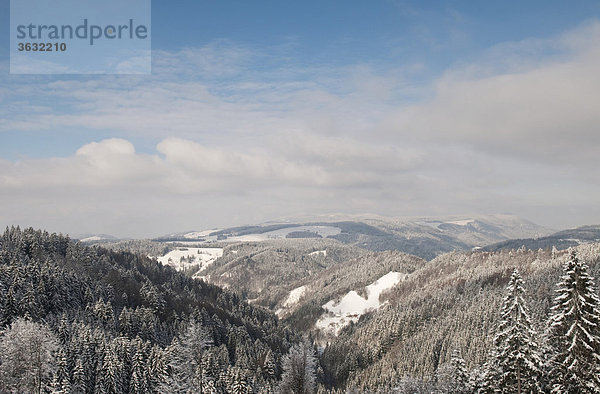 Schneebedeckte Höhen des Schwarzwalds  Blick auf den Kandel  Winter  Schwarzwald  Baden-Württemberg  Deutschland  Europa
