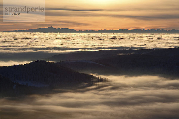 Sonnenaufgang über der Nebeldecke auf dem Feldberg  Blickrichtung Schweizer Alpen mit Säntisgipfel und Churfirsten  Schwarzwald  Baden-Württemberg  Deutschland  Europa