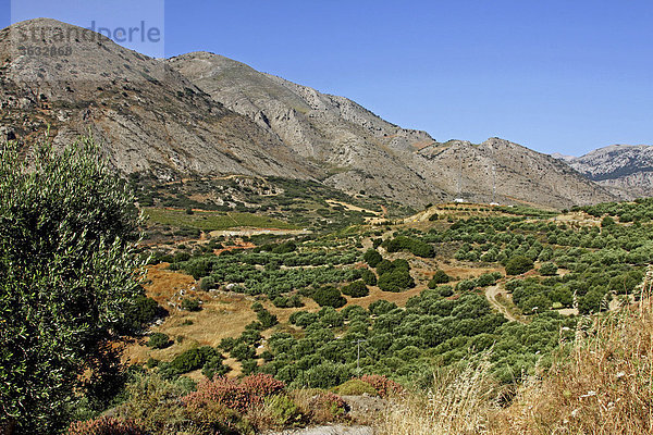 Dikti mountains  Dikti Oros  Crete  Greece  Europe
