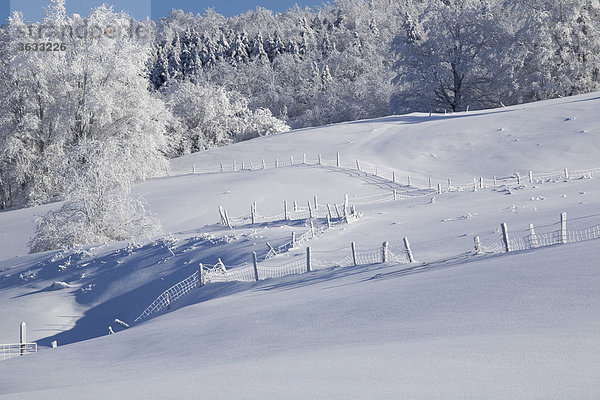 Schneelandschaft im Winter  Kanada