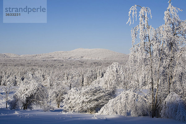 Schneelandschaft im Winter  Kanada