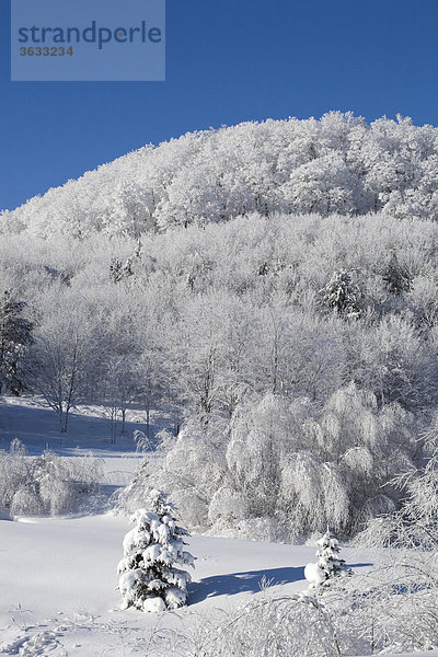 Schneelandschaft im Winter  Kanada