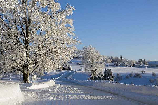 Schneelandschaft im Winter  Kanada