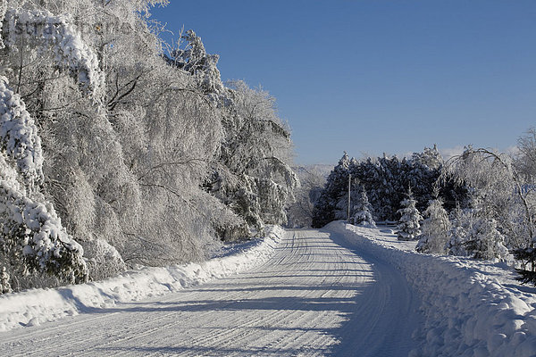 Schneebedeckte Straße im Winter  Kanada