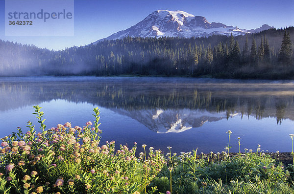 Mount Rainier und Mirror Lake  Washington  USA