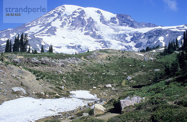 Mount Rainier  Washington  USA
