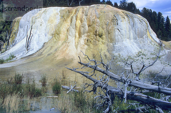 Orange Spring Mound  Mammoth Hot Springs  Yellowstone Nationalpark  USA