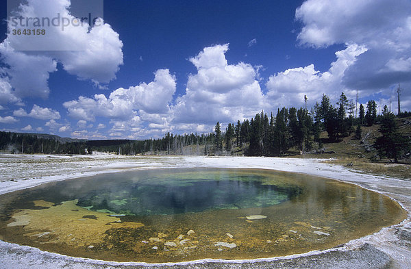 Beauty Pool  Yellowstone Nationalpark  Wyoming  USA