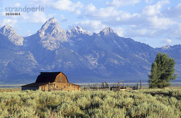 Alter Bauernhof vor den Grand Tetons  Wyoming  USA
