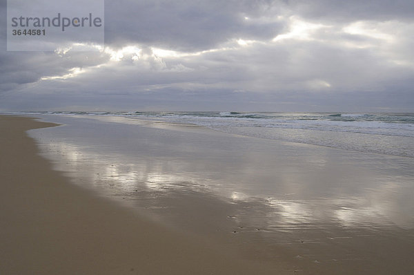 Morgen an der Ostküste von Fraser Island  Australien