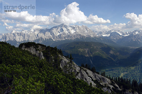 Blick zur Zugspitze  vom Schellschlicht aus  Bayern  Deutschland  Europa