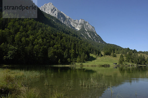 Ferchensee vor Wettersteinspitze  Bayern  Deutschland  Europa