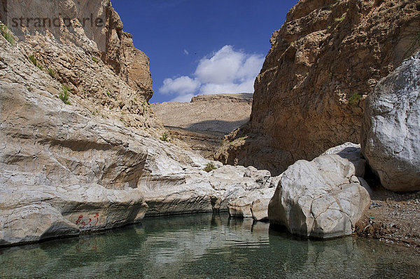 Teich im Wadi Bani Khalid  Oman  Naher Osten
