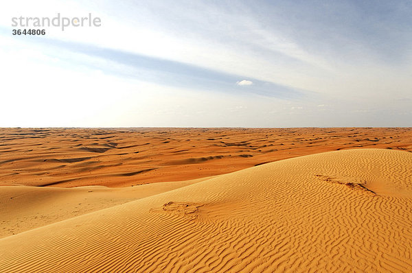 Dünenlandschaft  Wahiba Sands  Oman  Naher Osten