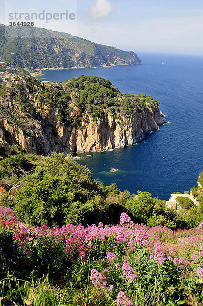 Wilde Küstenlandschaft mit Blick auf das Cap de Begur  bei Begur  Costa Brava  Spanien  Iberische Halbinsel  Europa