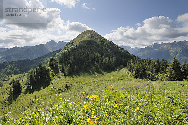 Blick zum Krahbergzinken  Schladminger Tauern  Steiermark  Österreich  Europa