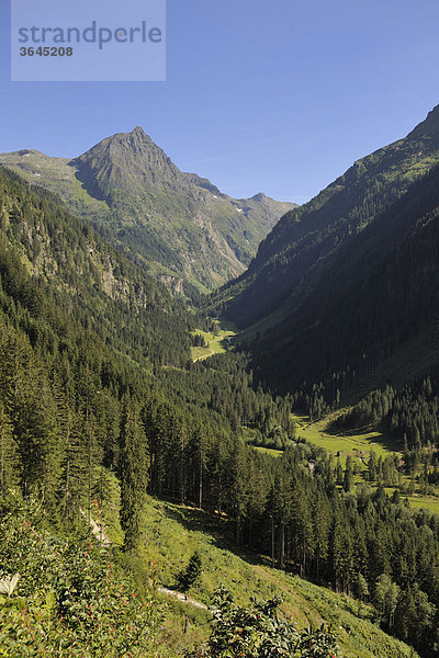 Blick ins Riesachtal  Schladminger Tauern  Steiermark  Österreich  Europa