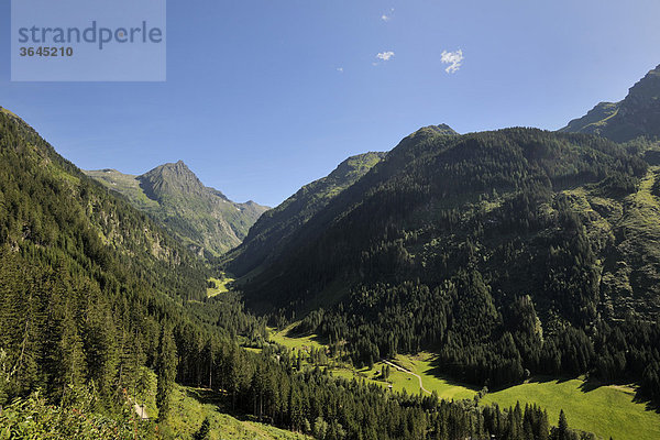 Blick ins Riesachtal  Schladminger Tauern  Steiermark  Österreich  Europa