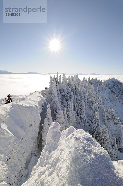 Blick vom Gipfel des Unterbergs nach Westen  Schitour Unterberg  Niederösterreich  Österreich  Europa