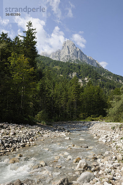 Blick vom Kaiserbachtal auf den Wilden Kaiser  Tirol  Österreich  Europa