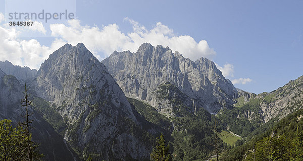 Wilder Kaiser mit Predigtstuhl und Fleischbank  Wanderung zur Ranggenalm  Tirol  Österreich  Europa
