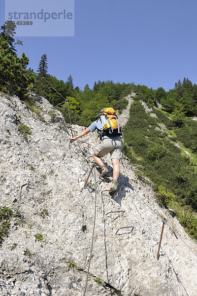 Leichte Kletterstelle am Bettler Steig  Wilder Kaiser  Tirol  Österreich  Europa