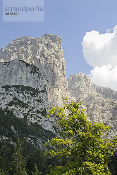 Totenkirchl  Wilder Kaiser  Tirol  Österreich  Europa