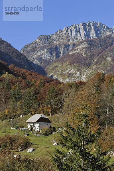 Lonely farmhouse  Slovenia  Europe