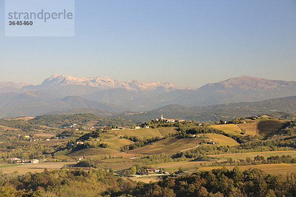 Blick über Weinberge nach Norden  dahinter Julische Alpen  Cormons  Friaul  Italien  Europa