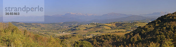 Blick über Weinberge nach Norden  dahinter Julische Alpen  Cormons  Friaul  Italien  Europa
