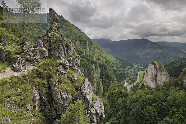 Felsengarten  Tiesnavy  Mala Fatra Nationalpark  Slowakei  Europa