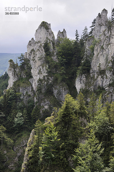 Felsengarten  Tiesnavy  Mala Fatra Nationalpark  Slowakei  Europa