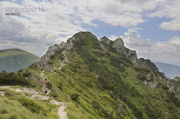 Gipfel des Velky Rozsutec  1609m  Mala Fatra Nationalpark  Slowakei  Europa