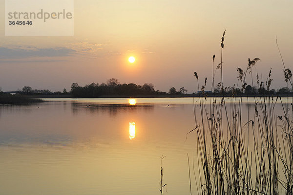 Sonnenaufgang über Schönauer Fischteich  Triestingtal  Niederösterreich  Österreich  Europa