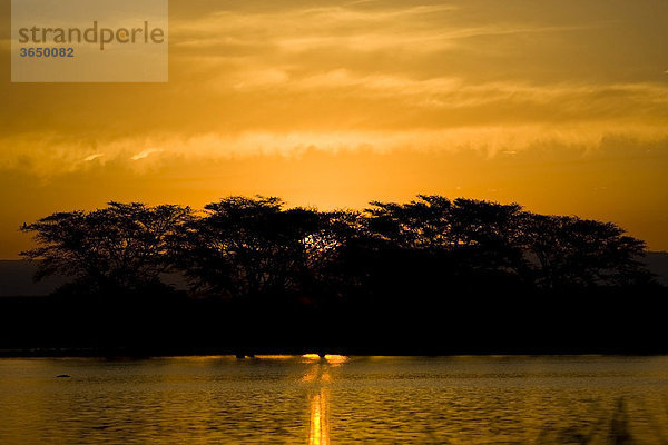 Sonnenuntergang  Mkhuze Nationalpark  Südafrika  Afrika