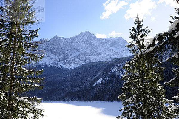 Blick über den zugefrorenen Eibsee auf die Zugspitze  Grainau  Werdenfelser Land  Oberbayern  Bayern  Deutschland  Europa