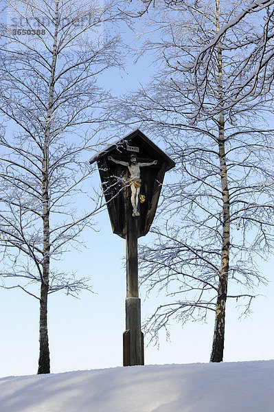 Christuskreuz bei Holzhausen am Starnberger See  Oberbayern  Bayern  Deutschland  Europa