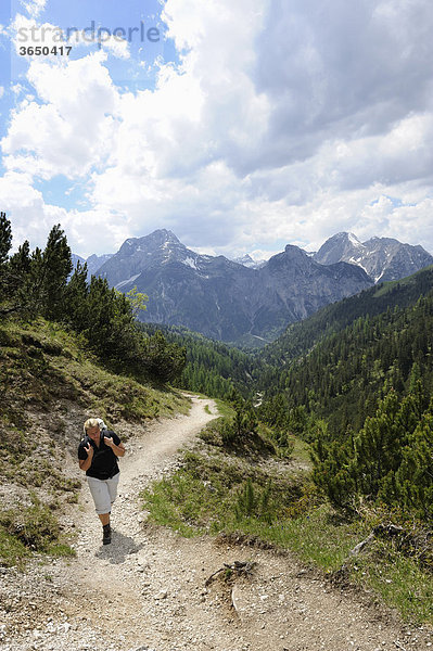 Frau beim Wandern  Aufstieg zum Plumsjoch im Karwendelgebirge  Rißbachtal  Tirol  Österreich  Europa