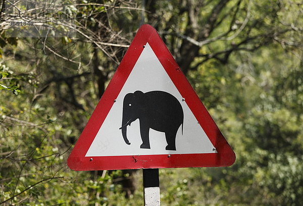 Verkehrsschild Vorsicht Elefant  Tamil Nadu  Tamilnadu  Südindien  Indien  Südasien  Asien